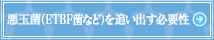 ���ʋہiETBF�ۂȂǁj��ǂ��o���K�v��