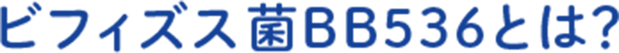 ビフィズス菌BB536とは？