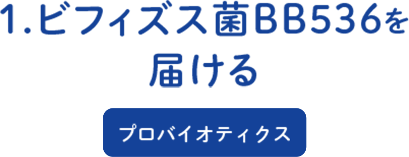 1.ビフィズス菌BB536を届ける プレバイオティクス