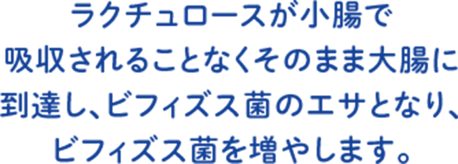 ラクチュロースが小腸で吸収されることなくそのまま大腸に到達し、ビフィズス菌のエサとなり、ビフィズス菌を増やします。