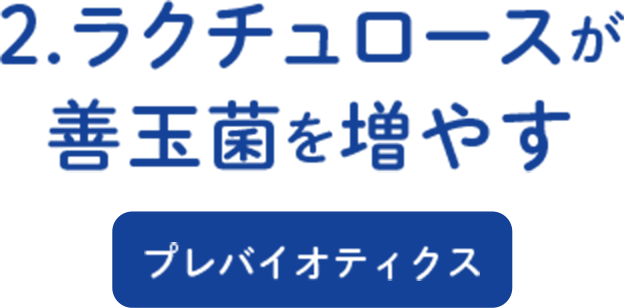 2.ラクチュロースが善玉菌を増やす プレバイオティクス