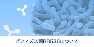 ビフィズス菌BB536について