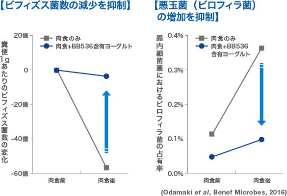 【ビフィズス菌数の減少を抑制】【悪玉菌（ビロフィラ菌）の増加を抑制】