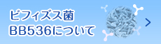 ビフィズス菌BB536について左フローティング