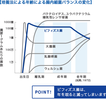 【培養法による年齢による腸内細菌のバランスの変化】