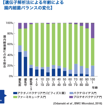 【遺伝子解析法による年齢による腸内細菌バランスの変化】