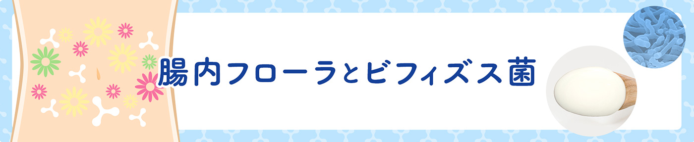 腸内フローラとビフィズス菌