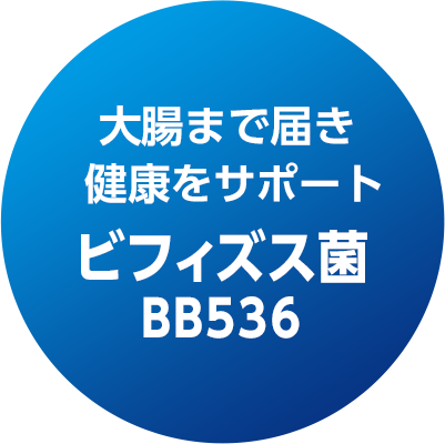 大腸まで届き健康をサポートビフィズス菌BB536