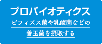 プロバイオティクス ビフィズス菌や乳酸菌などの善玉菌を摂取する