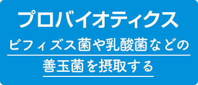 プロバイオティクス ビフィズス菌や乳酸菌などの善玉菌を摂取する