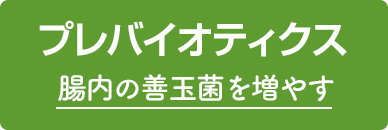 プレバイオティクス 腸内の善玉菌を増やす