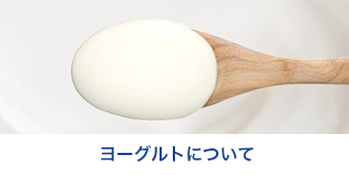ヨーグルトについて