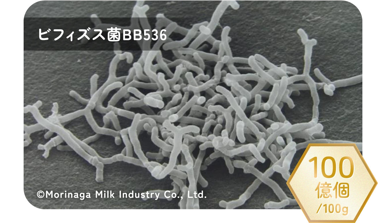 ビフィズス菌BB536 100億個/100g ©Morinaga Milk Industry Co., Ltd.