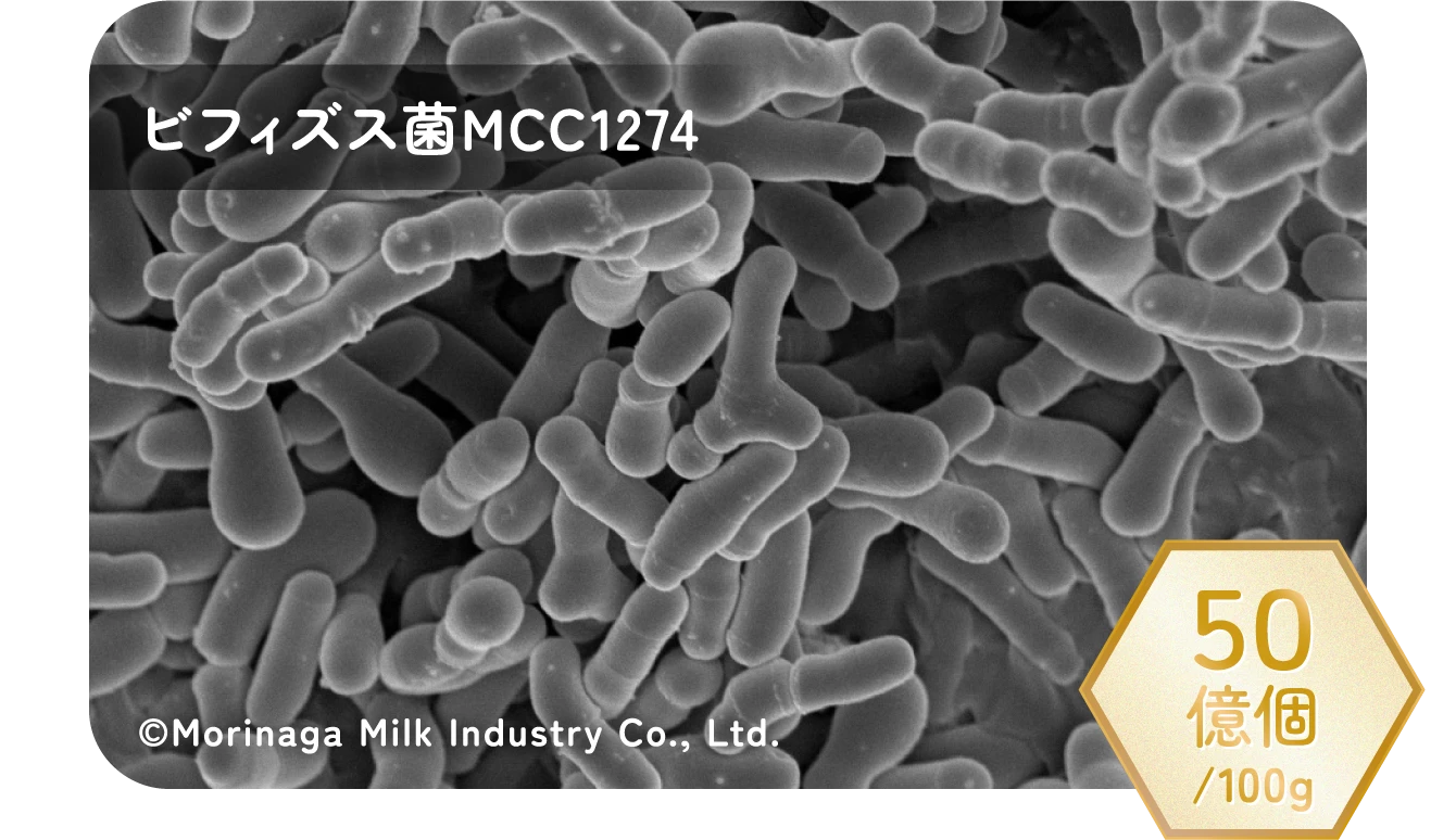 ビフィズス菌MCC1274 50億個/100g ©Morinaga Milk Industry Co., Ltd.