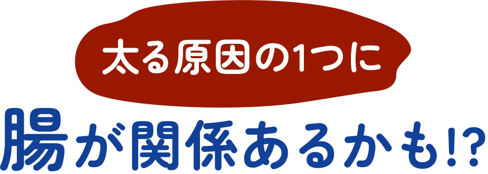 太る原因の1つに腸が関係あるかも!?