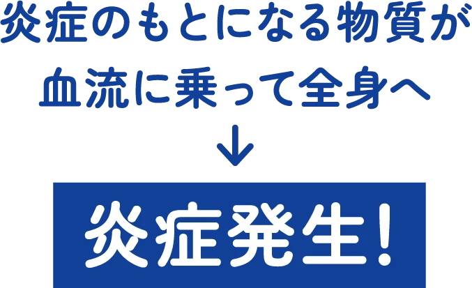 炎症のもとになる物質が血流に乗って全身へ 炎症発生！