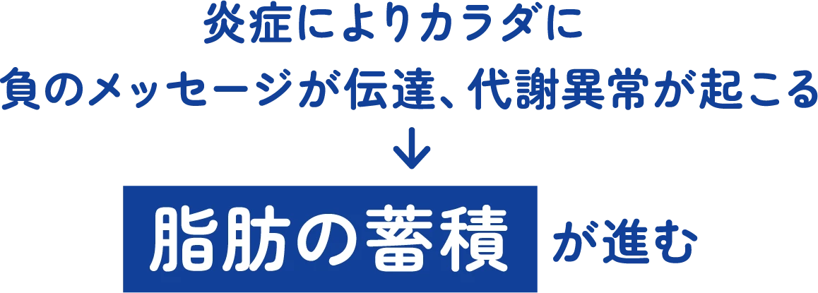 炎症によりカラダに
            負のメッセージが伝達、代謝異常が起こる 脂肪の蓄積が進む