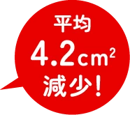 摂取前と16週間摂取後を比べて、ビヒズス菌摂取群が平均4.2cm²減少!