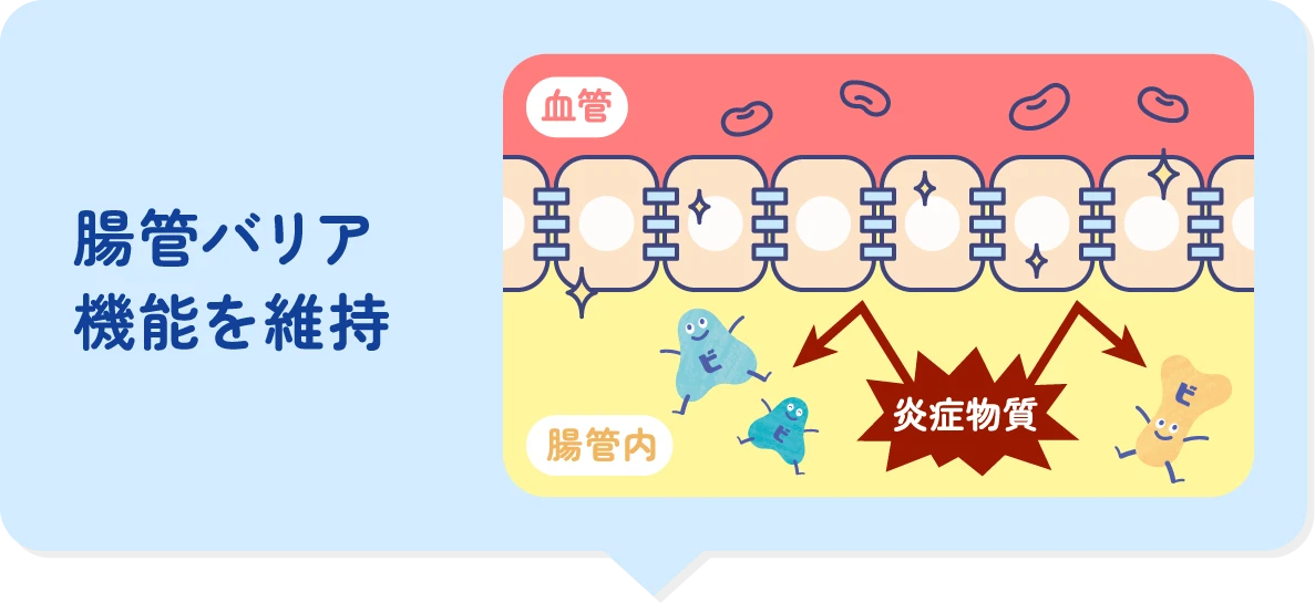 腸管バリア機能を維持