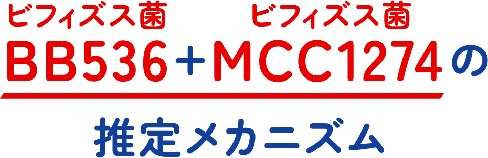ビフィズス菌BB536 + ビフィズス菌MCC1274の推定メカニズム